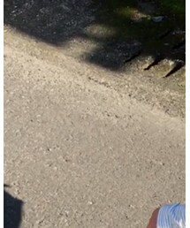 BABYDOLL | Tシャツ/カットソー