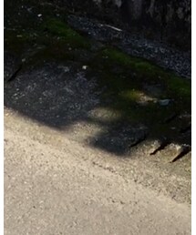 F.O.KIDS | ダウンベスト