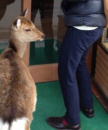 H&M | その他パンツ