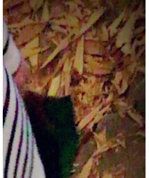 WEGO | ネックレス