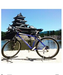 相棒のカルロス | トラベルグッズ