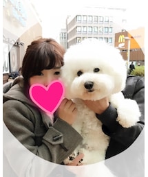 犬のムームー🐩😍 | その他