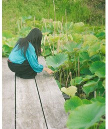 蓮園GOKURAKU | その他