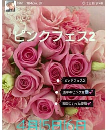 🌸ピンクフェス②🌸 | その他