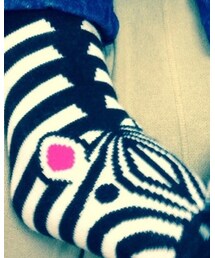 シマウマ | ソックス/靴下