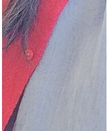 POU DOU DOU | シャツ/ブラウス