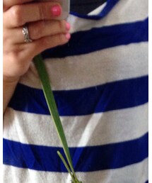 SHIPS | Tシャツ/カットソー