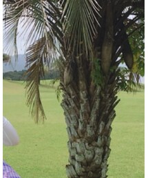 PUMA | レギンス/スパッツ