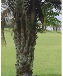 PUMA | ファッション雑貨