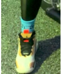 SANTA CRUZ | ソックス/靴下