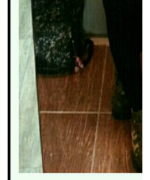 しまむら | バックパック/リュック