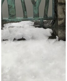 RED WING | ブーツ