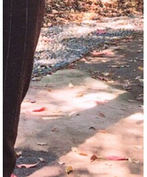 N | カーディガン/ボレロ