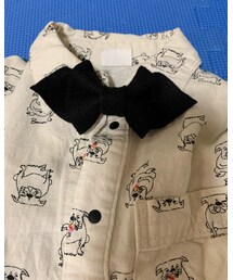 Handmade | 蝶ネクタイ