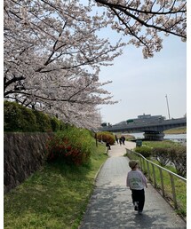 お花見がてら散歩٭❀* | ラッピングキット