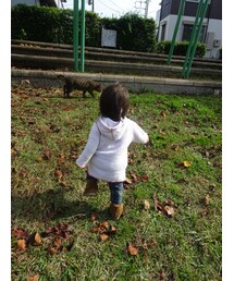 猫に忍びよる影、、 | その他