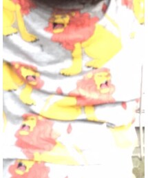 不明 | セットアップ