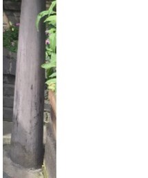 靴下屋 | ソックス/靴下