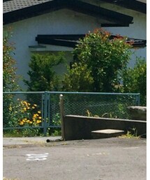 ZARA | Tシャツ/カットソー