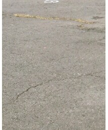 COMME des GARCONS | スラックス