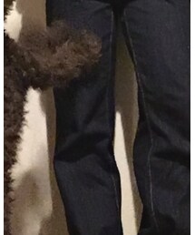 GU | デニムパンツ