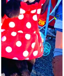 Right-on | つなぎ/オールインワン