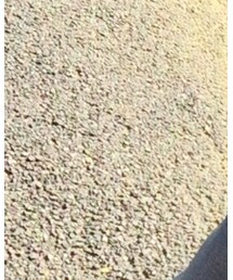 MICHEL KLEIN | ニット/セーター