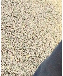 Levi's | その他パンツ