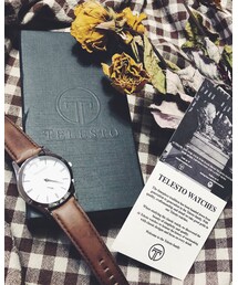 telestwatch | アナログ腕時計