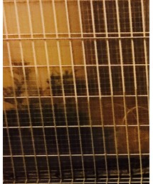 the POOL aoyama | スウェット