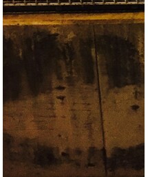 Carhartt | カーゴパンツ