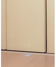 靴下屋 | ソックス/靴下