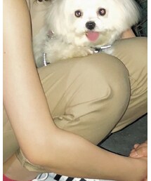 無印良品 | スラックス