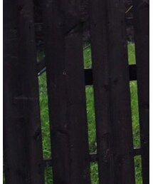 UNIQLO | シャツ/ブラウス