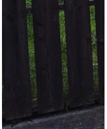 BALMAIN HOMME | スニーカー