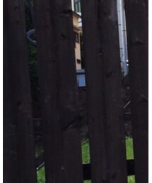 OMEGA | アナログ腕時計