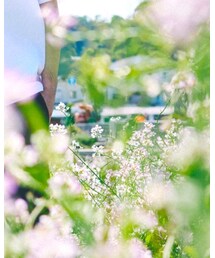 Supreme  | チノパンツ