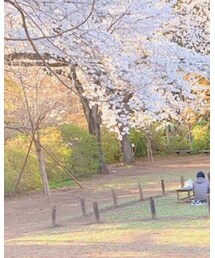 Supreme  | チェスターコート