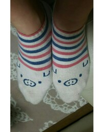 ぶたさん🐷 | ソックス/靴下