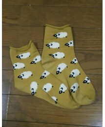 靴下屋 | ソックス/靴下