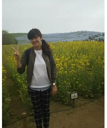 菜の花畑と🌻 | その他