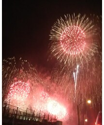 花火🎆 | その他