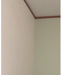 American Eagle | チノパンツ