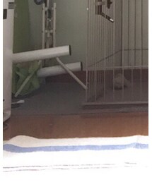 no brand | ソックス/靴下