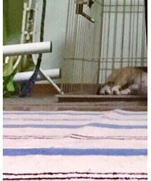 裸足です(笑)サンダル履きます！ | シューズ