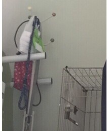 ZARA MAN | クラッチバッグ