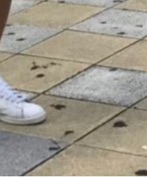 COLONY 2139 | その他パンツ