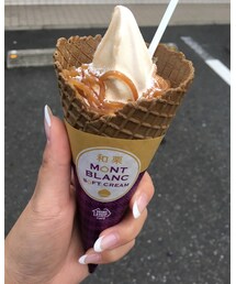 食欲の秋♪ | ミニストップの和栗モンブランソフトクリーム(その他)