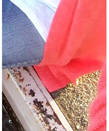 GAP | カーディガン/ボレロ