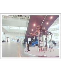 科学館 | その他
